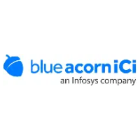 Blue Acorn iCi
