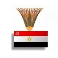 Egypt Daily News