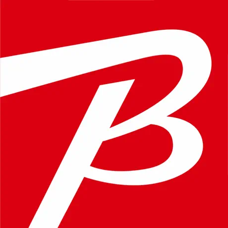 BicCamera